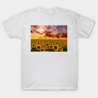 sunflowers field T-Shirt